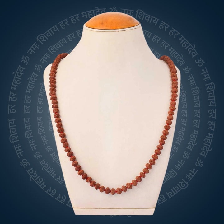 10 Mukhi Rudraksha Mala 8-9mm | India's Most Authentic  Lab & X-ray Certified Rudraksha Collection – Rudrapure.com