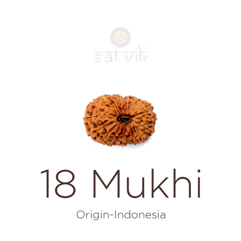Natural 18 Mukhi Indonesia Rudraksha bead | India's Most Authentic  Lab & X-ray Certified Rudraksha Collection – Rudrapure.com
