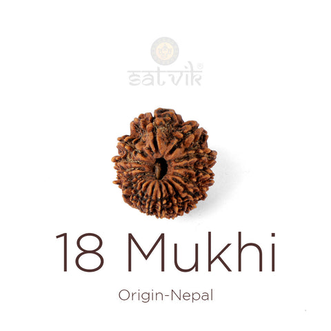 18 Mukhi Rudraksha bead natural Nepali eighteen face Rudraksha. India's Most Authentic  Lab & X-ray Certified Rudraksha Collection – Rudrapure.com