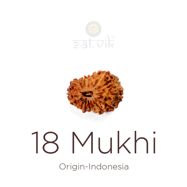 18 Mukhi Rudraksha bead, natural Indo eighteen-face Rudraksha. India's Most Authentic  Lab & X-ray Certified Rudraksha Collection – Rudrapure.com
