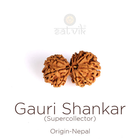 9 Mukhi Gauri Shanker Rudraksha (Super Collector)