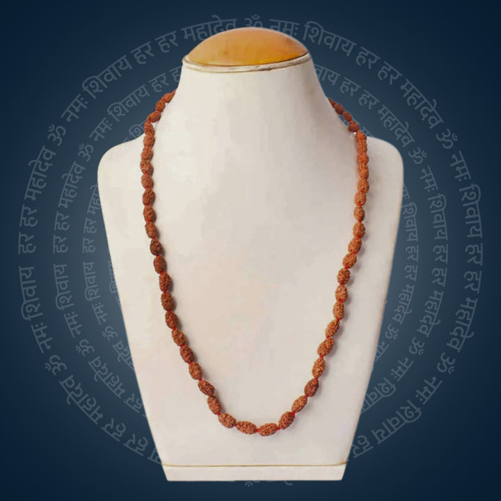 2 Mukhi Rudraksha Mala (4–6mm) for Spiritual Balance | India's Most Authentic  Lab & X-ray Certified Rudraksha Collection – Rudrapure.com