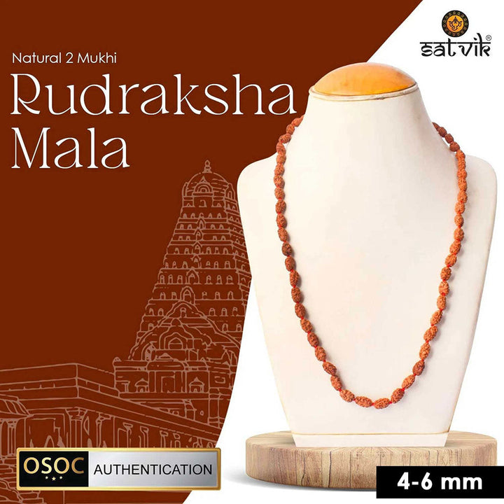 2 Mukhi Semi Pathriya Rudraksha Mala for harmony, relationships and spiritual growth. India’s Premium Rudraksha Jap Mala Store- www.satvikstore.inIndia's Most Authentic  Lab & X-ray Certified Rudraksha Collection – Rudrapure.com