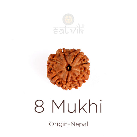 8 Mukhi Rudraksha | India's Most Authentic  Lab & X-ray Certified Rudraksha Collection – Rudrapure.com