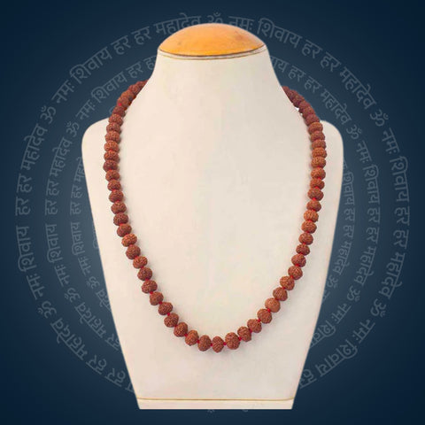 8 Mukhi Rudraksha Mala 9-10mm | India's Most Authentic  Lab & X-ray Certified Rudraksha Collection – Rudrapure.com