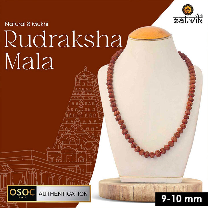 8 Mukhi Semi Pathriya Rudraksha Mala for wisdom, success and removal of obstacles. India's Most Authentic  Lab & X-ray Certified Rudraksha Collection – Rudrapure.com
