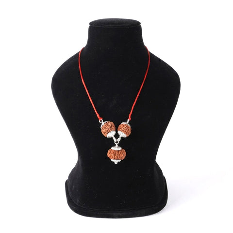 Business Kavachh bracelet with 7 8 12 Mukhi Rudraksha | India's Most Authentic  Lab & X-ray Certified Rudraksha Collection – Rudrapure.com
