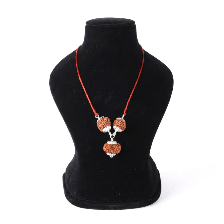 Business Kavachh bracelet with 7 8 12 Mukhi Rudraksha | India's Most Authentic  Lab & X-ray Certified Rudraksha Collection – Rudrapure.com
