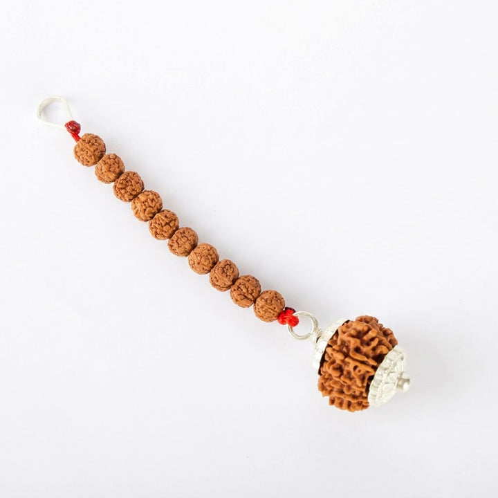 11 Mukhi Rudraksha car hanging for l safety Nepal-certified bead | India's Most Authentic  Lab & X-ray Certified Rudraksha Collection – Rudrapure.com
