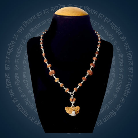 Certified 1 to 14 Mukhi Siddh Rudraksha Mala with Silver Capping (Indonesia) | India's Most Authentic  Lab & X-ray Certified Rudraksha Collection – Rudrapure.com
