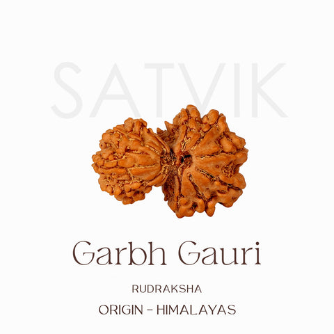 Certified Garbh Gauri Natural Rudraksha Bead from Nepal | India's Most Authentic  Lab & X-ray Certified Rudraksha Collection – Rudrapure.com