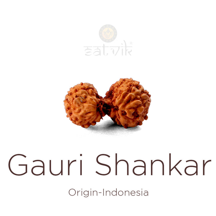 The Gauri Shankar Rudraksha bead, a natural Indo-joined twin Rudraksha. India's Most Authentic  Lab & X-ray Certified Rudraksha Collection – Rudrapure.com
