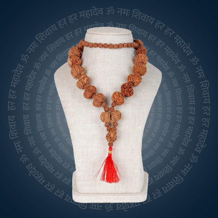Siddha Mala with 1 Mukhi Sawar | India's Most Authentic  Lab & X-ray Certified Rudraksha Collection – Rudrapure.com

