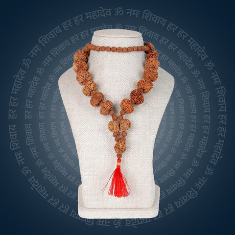 Siddha Mala with 1 Mukhi Sawar