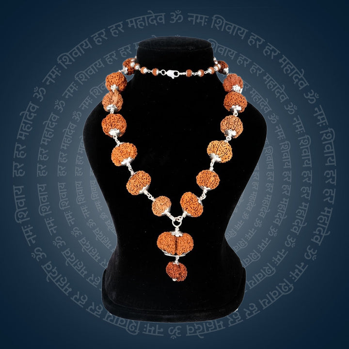 Siddha Mala with 1 Mukhi Sawar . India's Most Authentic  Lab & X-ray Certified Rudraksha Collection – Rudrapure.com
