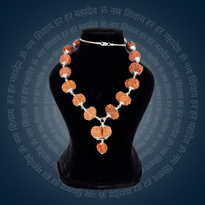 Siddha Mala with 1 Mukhi Sawar Nepal collector-grade silver chain Rudraksha mala. India's Most Authentic  Lab & X-ray Certified Rudraksha Collection – Rudrapure.com
