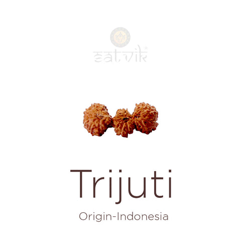 Trijuti Rudraksha bead natural Indo rare three joined Rudraksha. | India's Most Authentic  Lab & X-ray Certified Rudraksha Collection – Rudrapure.com
